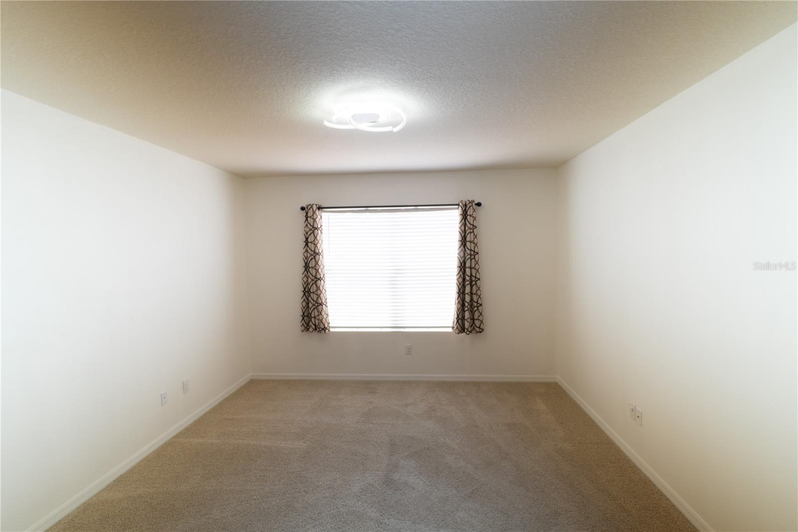 11517 KOTI CREEK LN, THONOTOSASSA, FL, 33592