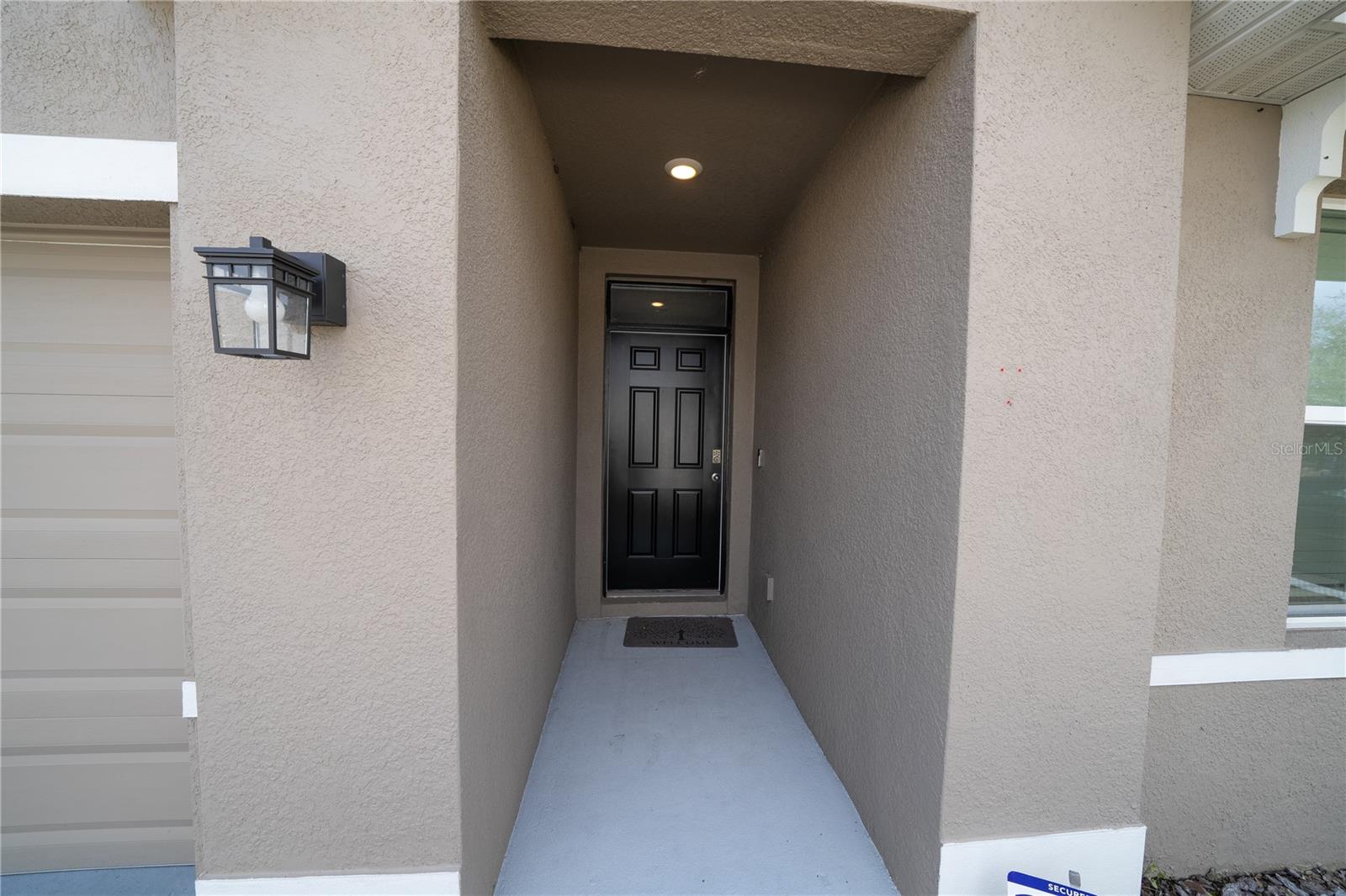 11517 KOTI CREEK LN, THONOTOSASSA, FL, 33592