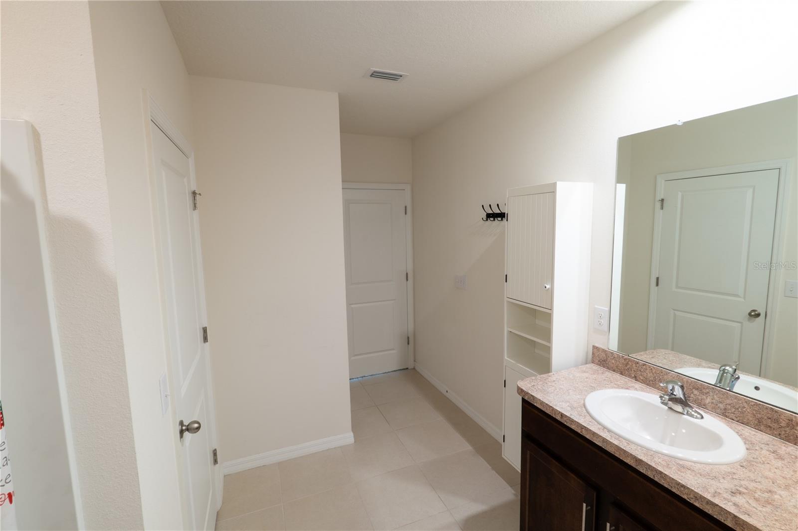 11517 KOTI CREEK LN, THONOTOSASSA, FL, 33592