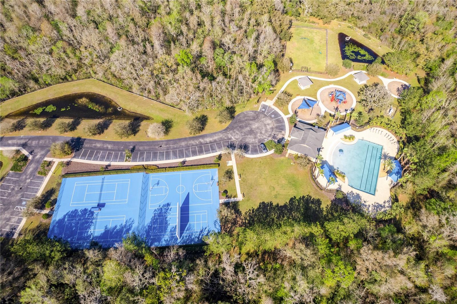 17915 BARN CLOSE DR, LUTZ, FL, 33559