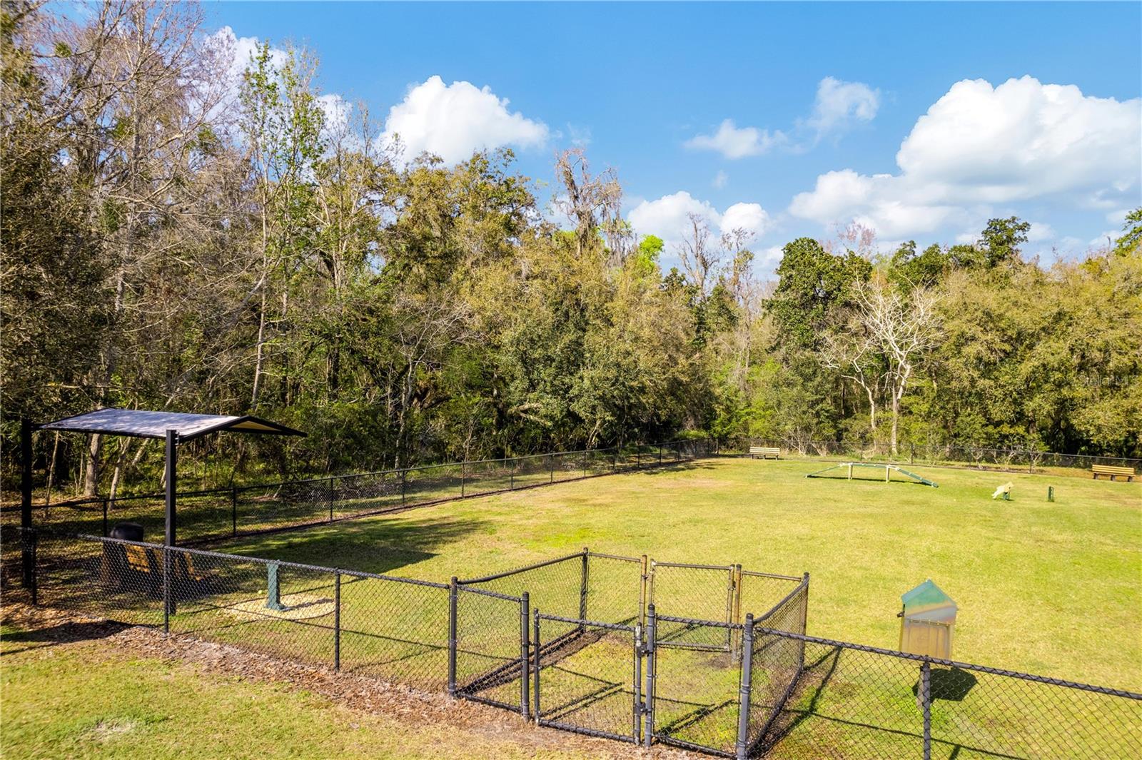 17915 BARN CLOSE DR, LUTZ, FL, 33559