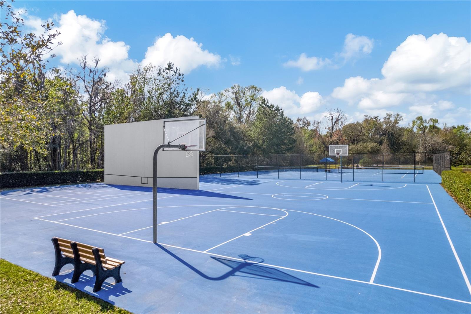 17915 BARN CLOSE DR, LUTZ, FL, 33559