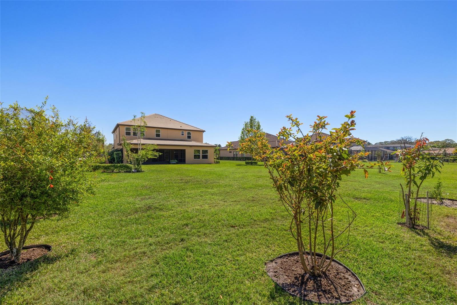 17915 BARN CLOSE DR, LUTZ, FL, 33559