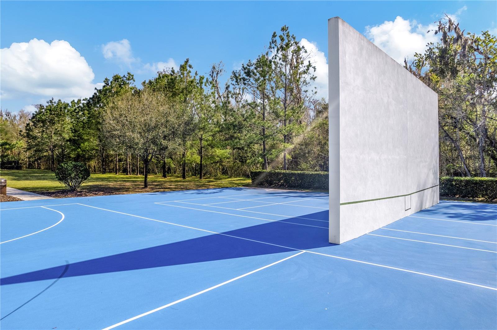17915 BARN CLOSE DR, LUTZ, FL, 33559