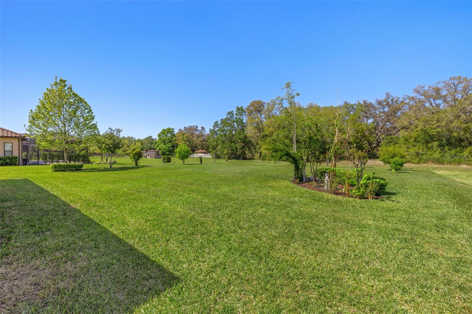 17915 BARN CLOSE DR, LUTZ, FL, 33559