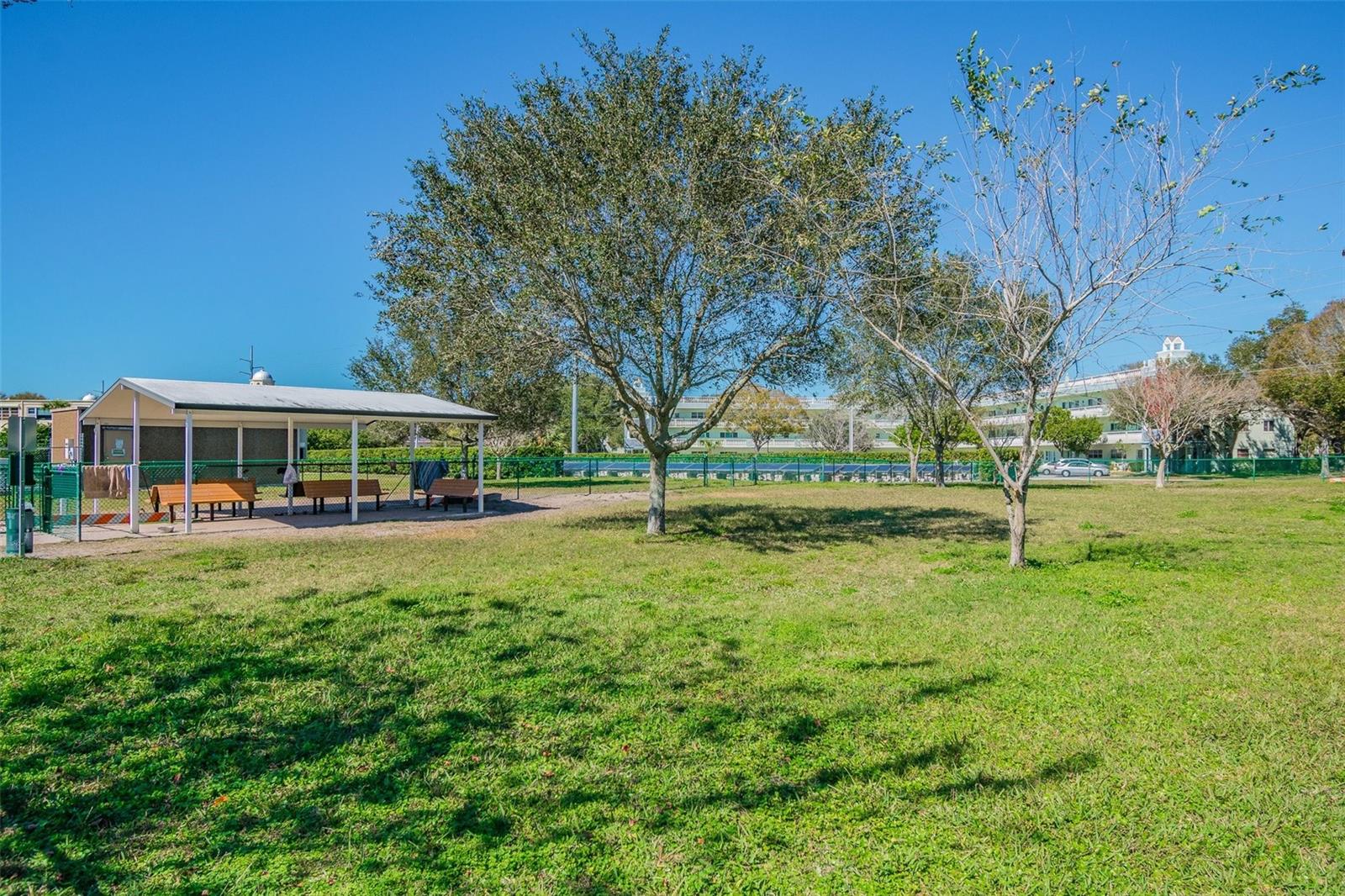 2259 COSTA RICAN DR #23, CLEARWATER, FL, 33763