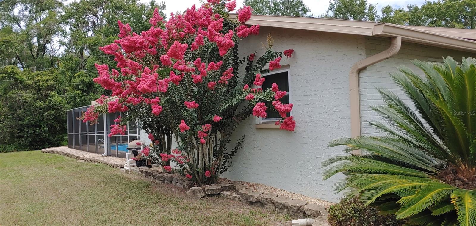 4233 GROUPER LN, NEW PORT RICHEY, FL, 34653