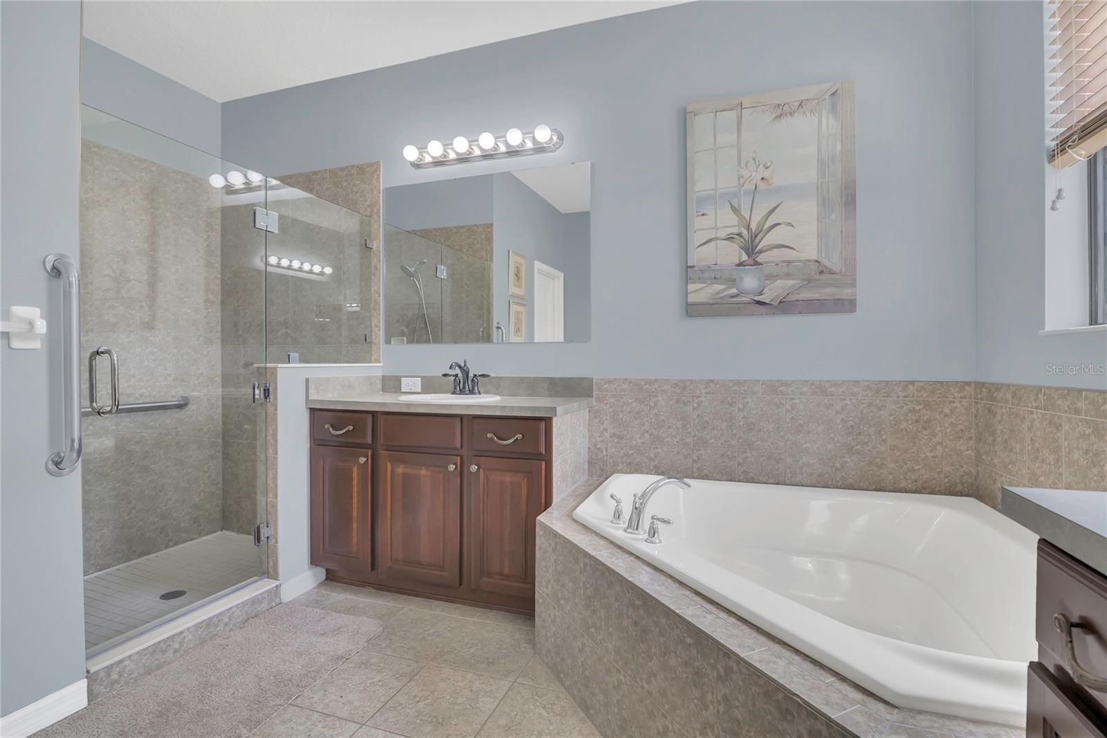 3615 BRIAR RUN DR, CLERMONT, FL, 34711