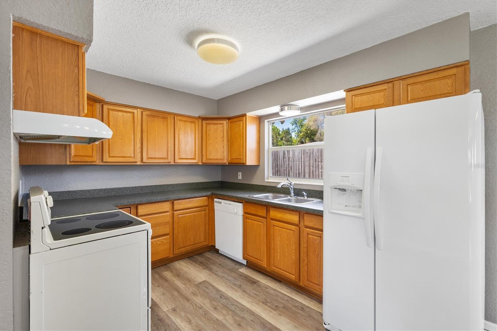 1234 E C-466, OXFORD, FL, 34484