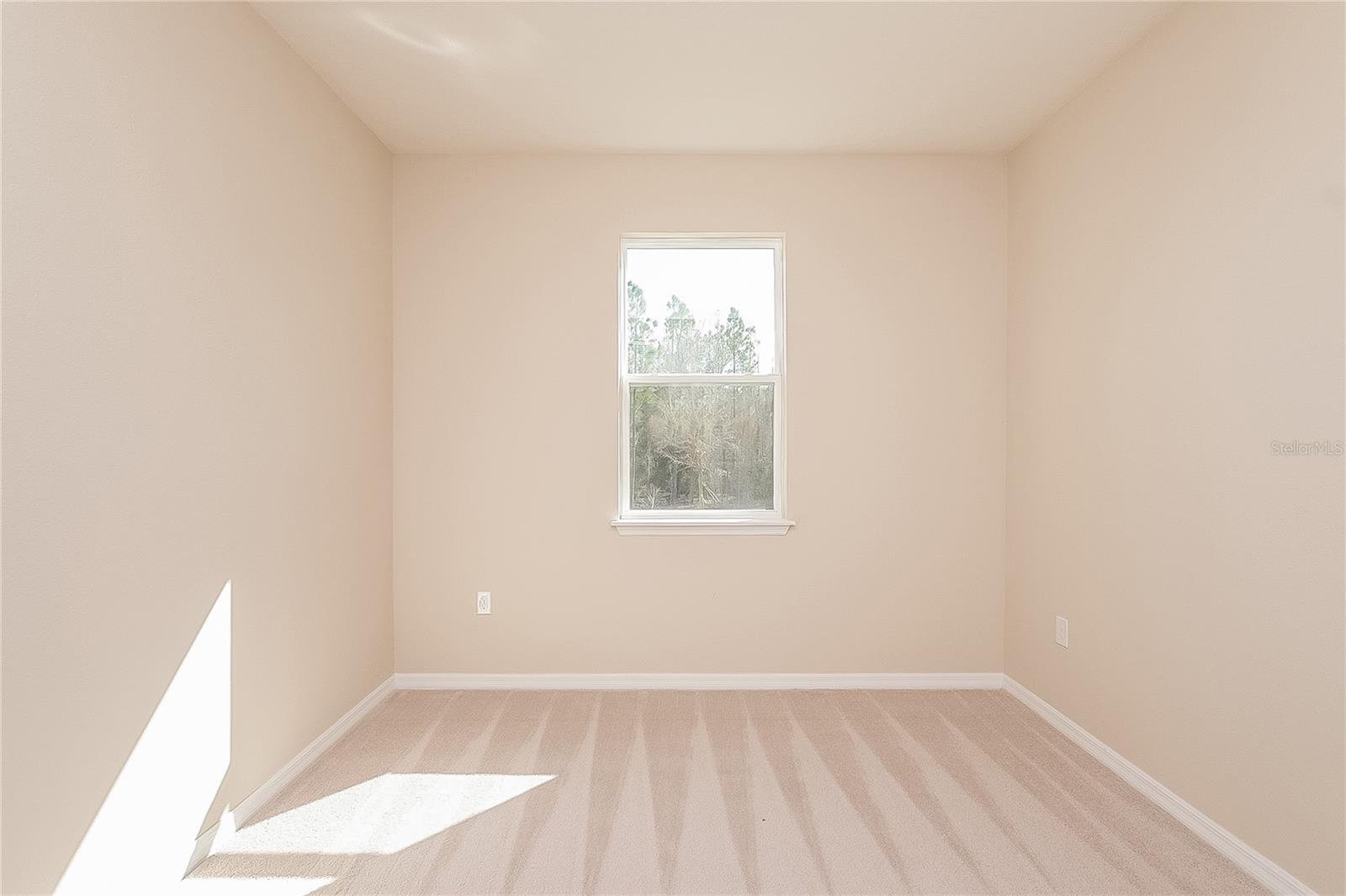 15394 SWEET SPRINGS BND, ODESSA, FL, 33556
