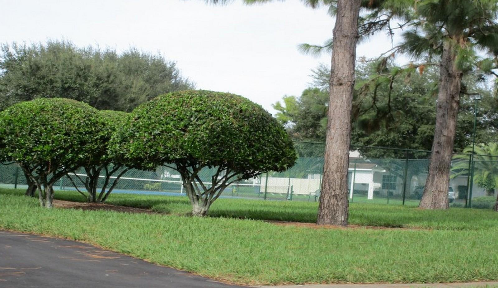 21537 CLUBSIDE LOOP, LUTZ, FL, 33549