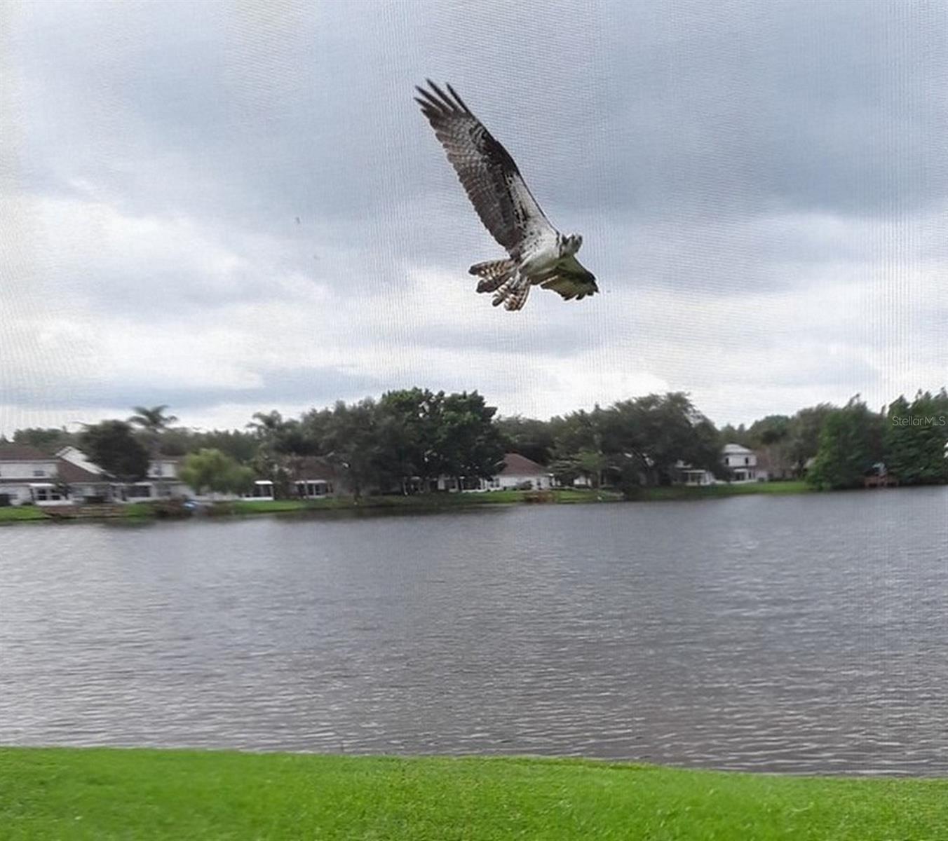 21537 CLUBSIDE LOOP, LUTZ, FL, 33549