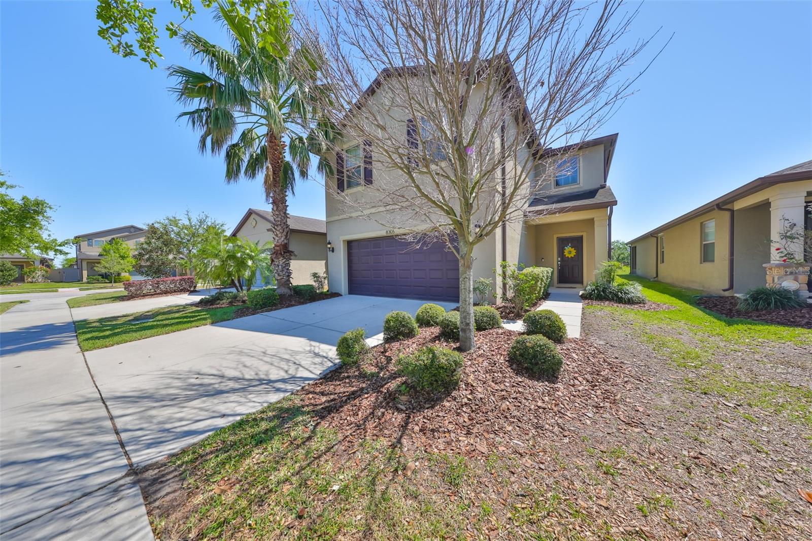 8306 RED SPRUCE AVE, RIVERVIEW, FL, 33578