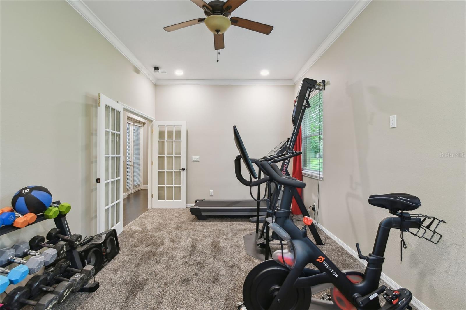 204 SILVER MOSS LN, TARPON SPRINGS, FL, 34688