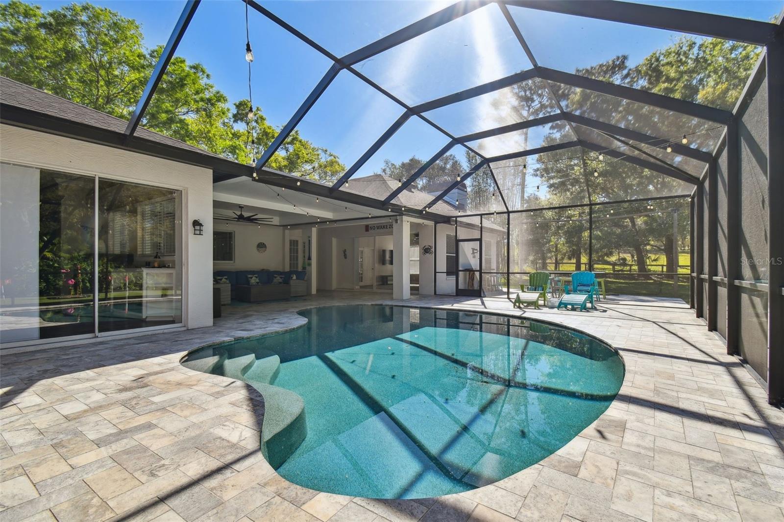 204 SILVER MOSS LN, TARPON SPRINGS, FL, 34688