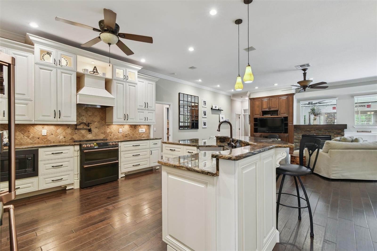 204 SILVER MOSS LN, TARPON SPRINGS, FL, 34688