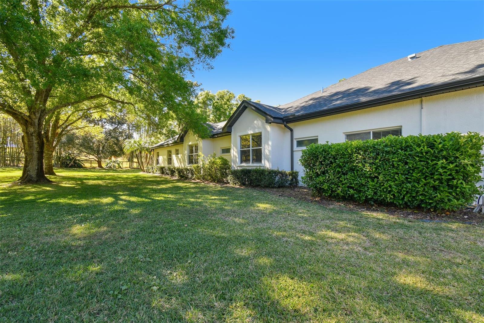 204 SILVER MOSS LN, TARPON SPRINGS, FL, 34688