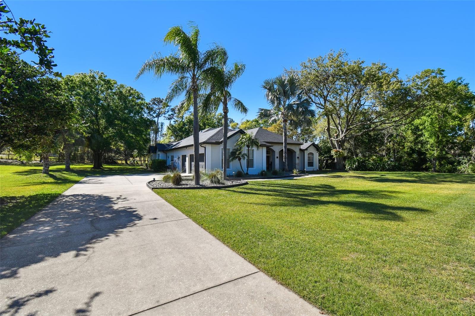 204 SILVER MOSS LN, TARPON SPRINGS, FL, 34688