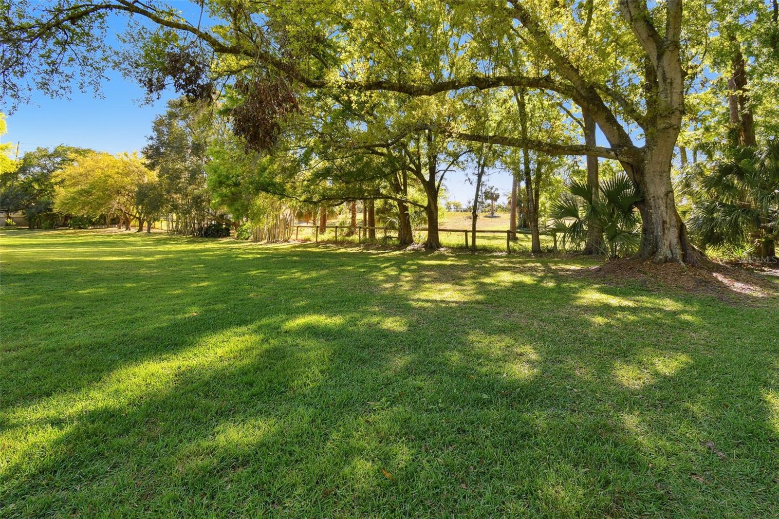 204 SILVER MOSS LN, TARPON SPRINGS, FL, 34688