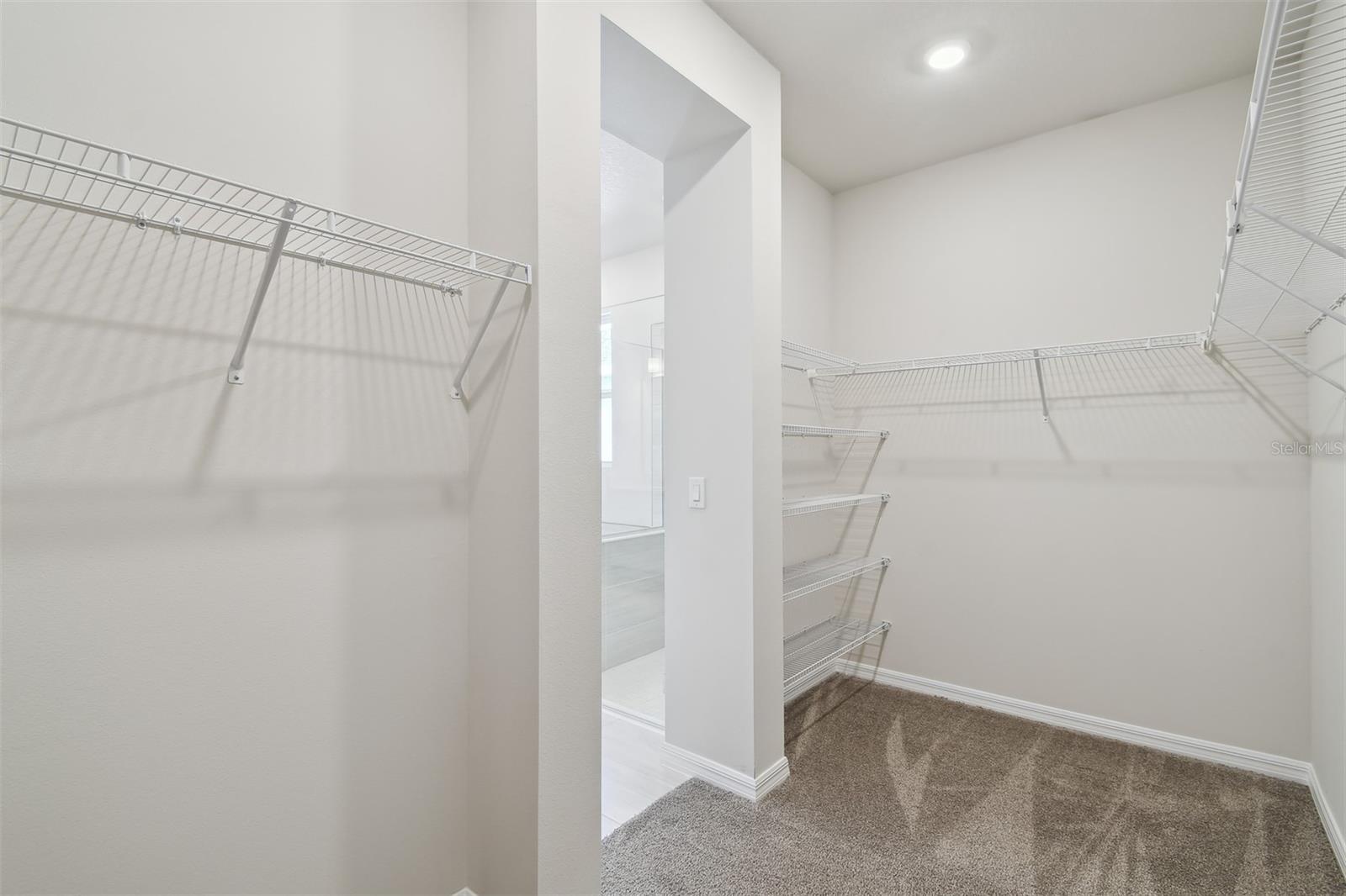 5932 BRISTLE OAK ST, MOUNT DORA, FL, 32757