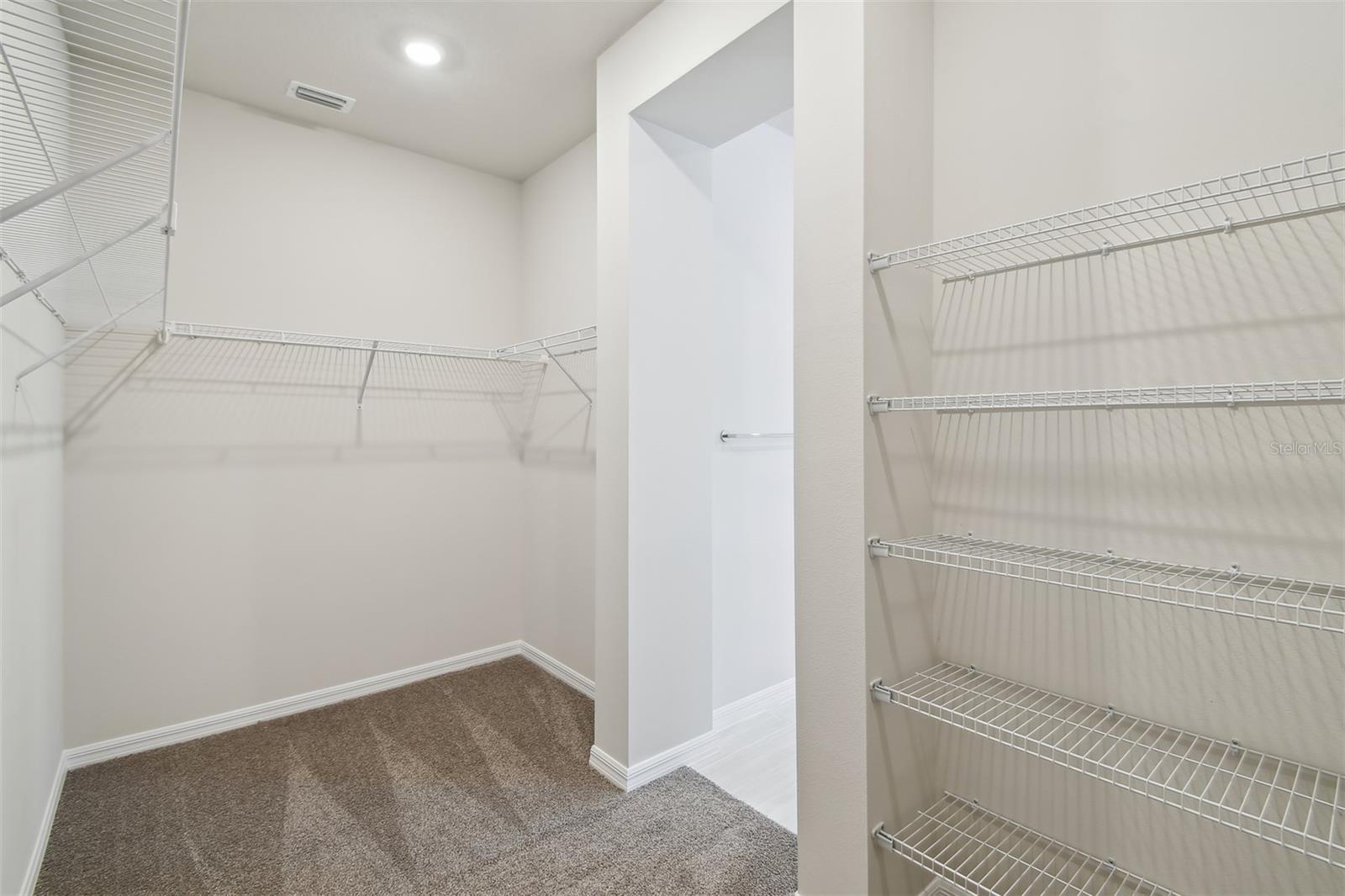 5932 BRISTLE OAK ST, MOUNT DORA, FL, 32757