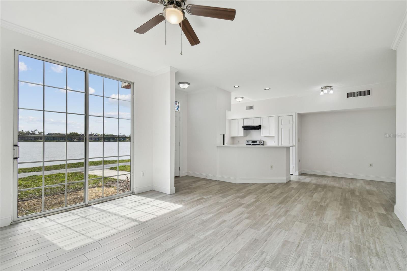 9118 LAKE CHASE ISLAND WAY #9118, TAMPA, FL, 33626