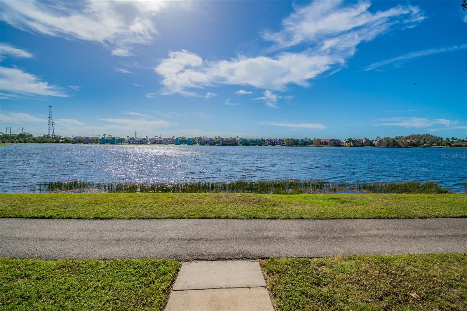 9118 LAKE CHASE ISLAND WAY #9118, TAMPA, FL, 33626