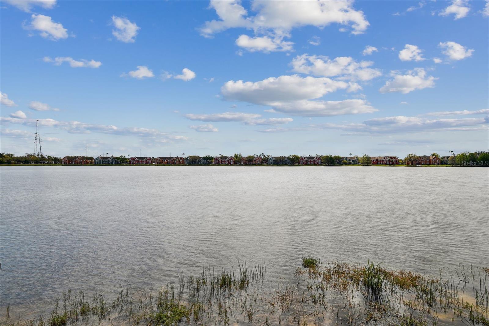 9118 LAKE CHASE ISLAND WAY #9118, TAMPA, FL, 33626
