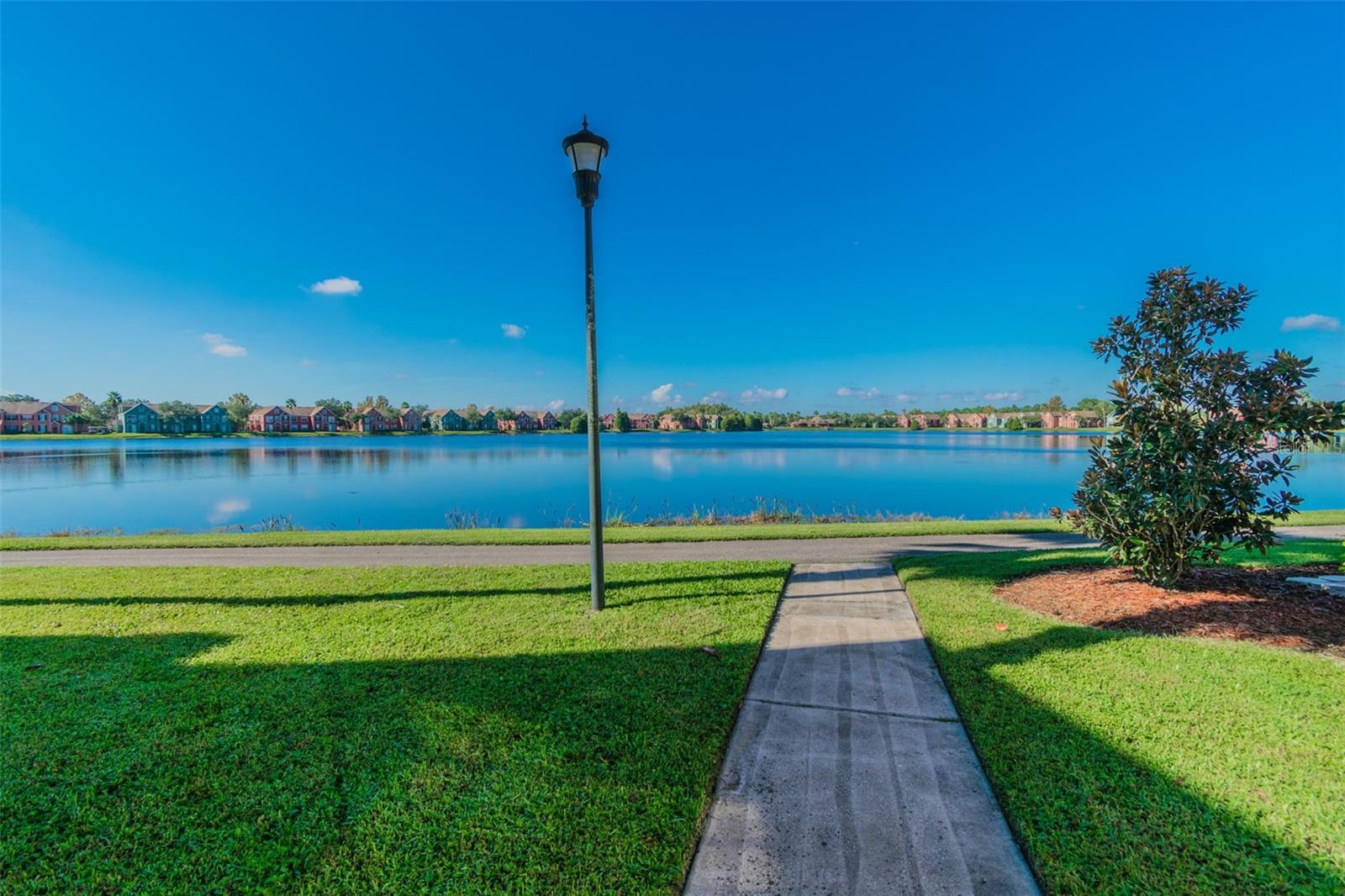 9118 LAKE CHASE ISLAND WAY #9118, TAMPA, FL, 33626