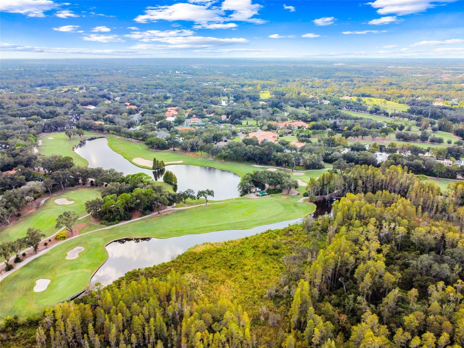 17003 MADRES DE AVILA, TAMPA, FL, 33613