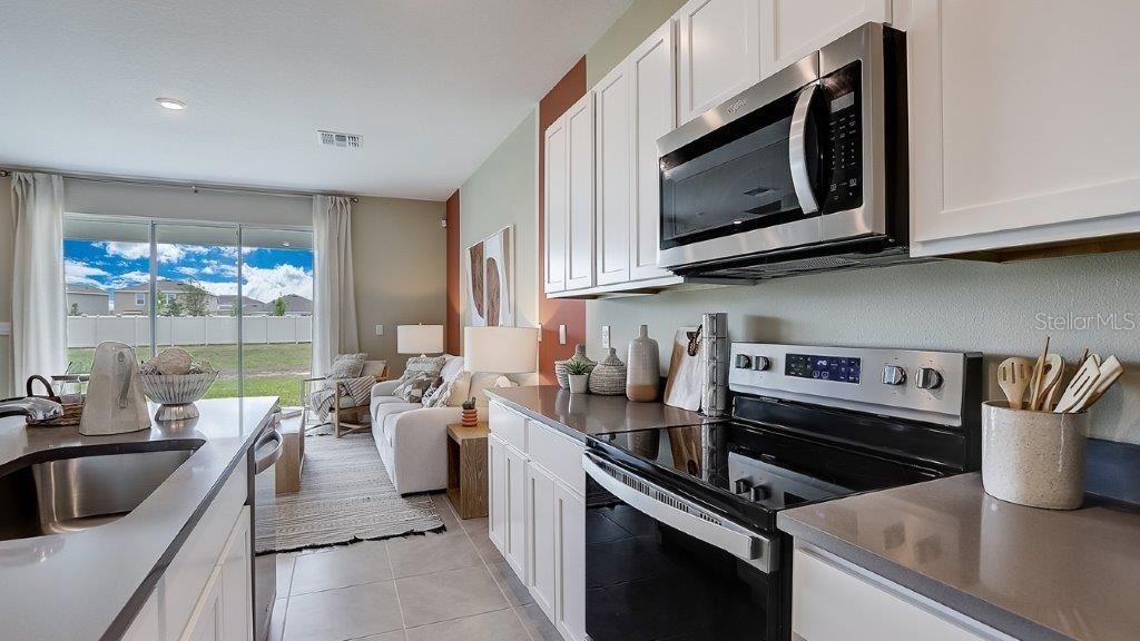 262 ROYAL SPOONBILL DR, RUSKIN, FL, 33570