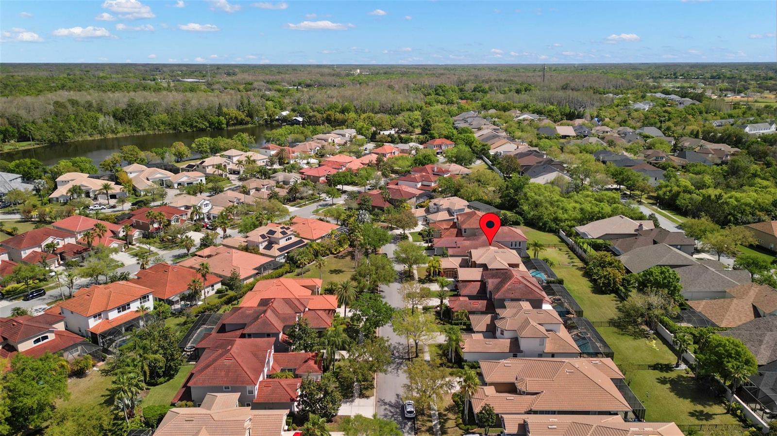 11610 BRISTOL CHASE DR, TAMPA, FL, 33626