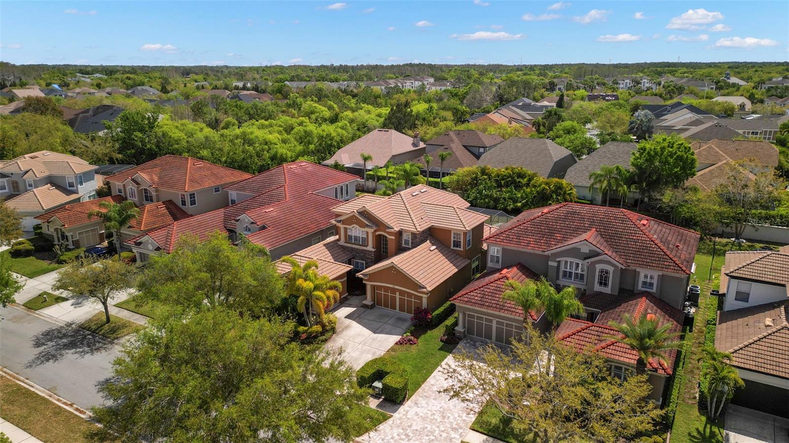 11610 BRISTOL CHASE DR, TAMPA, FL, 33626