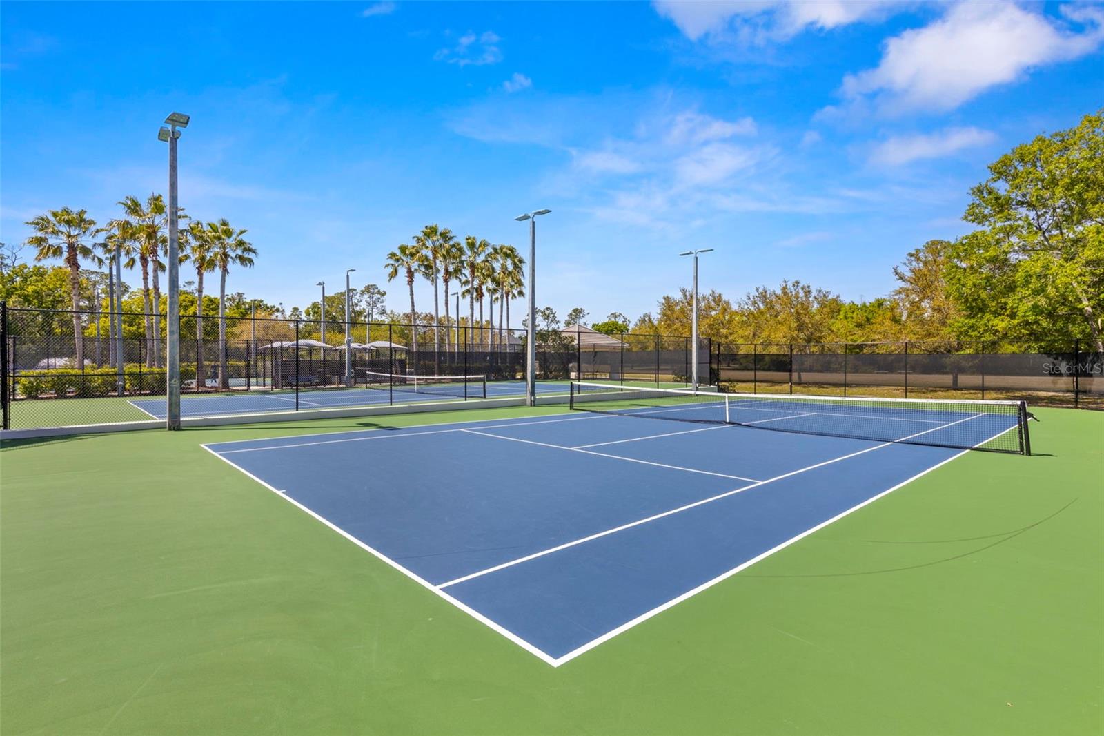 11610 BRISTOL CHASE DR, TAMPA, FL, 33626