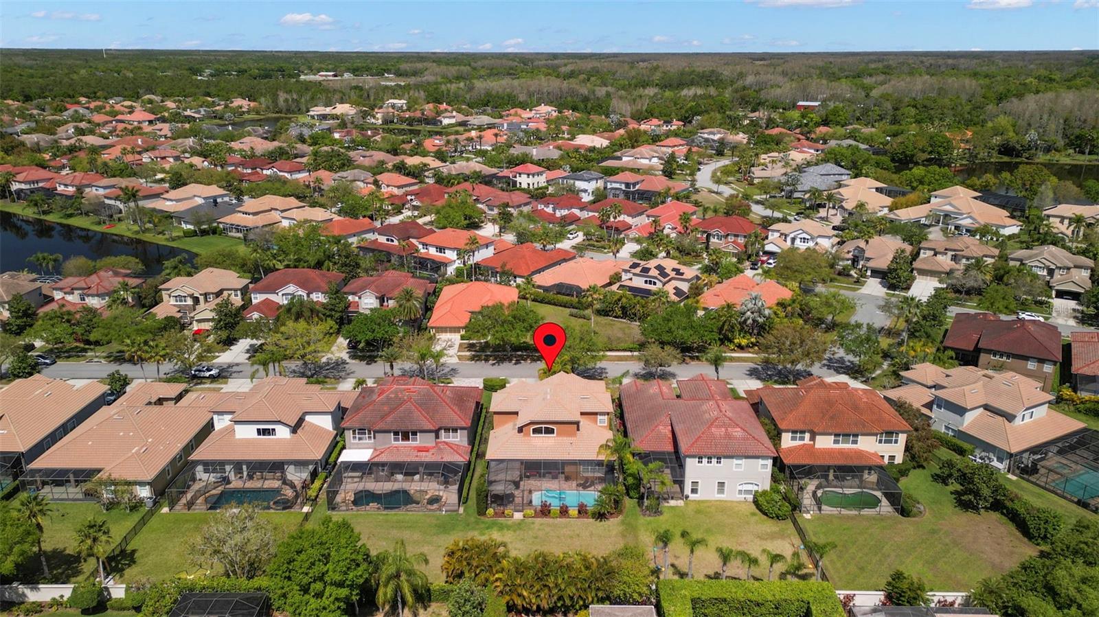 11610 BRISTOL CHASE DR, TAMPA, FL, 33626