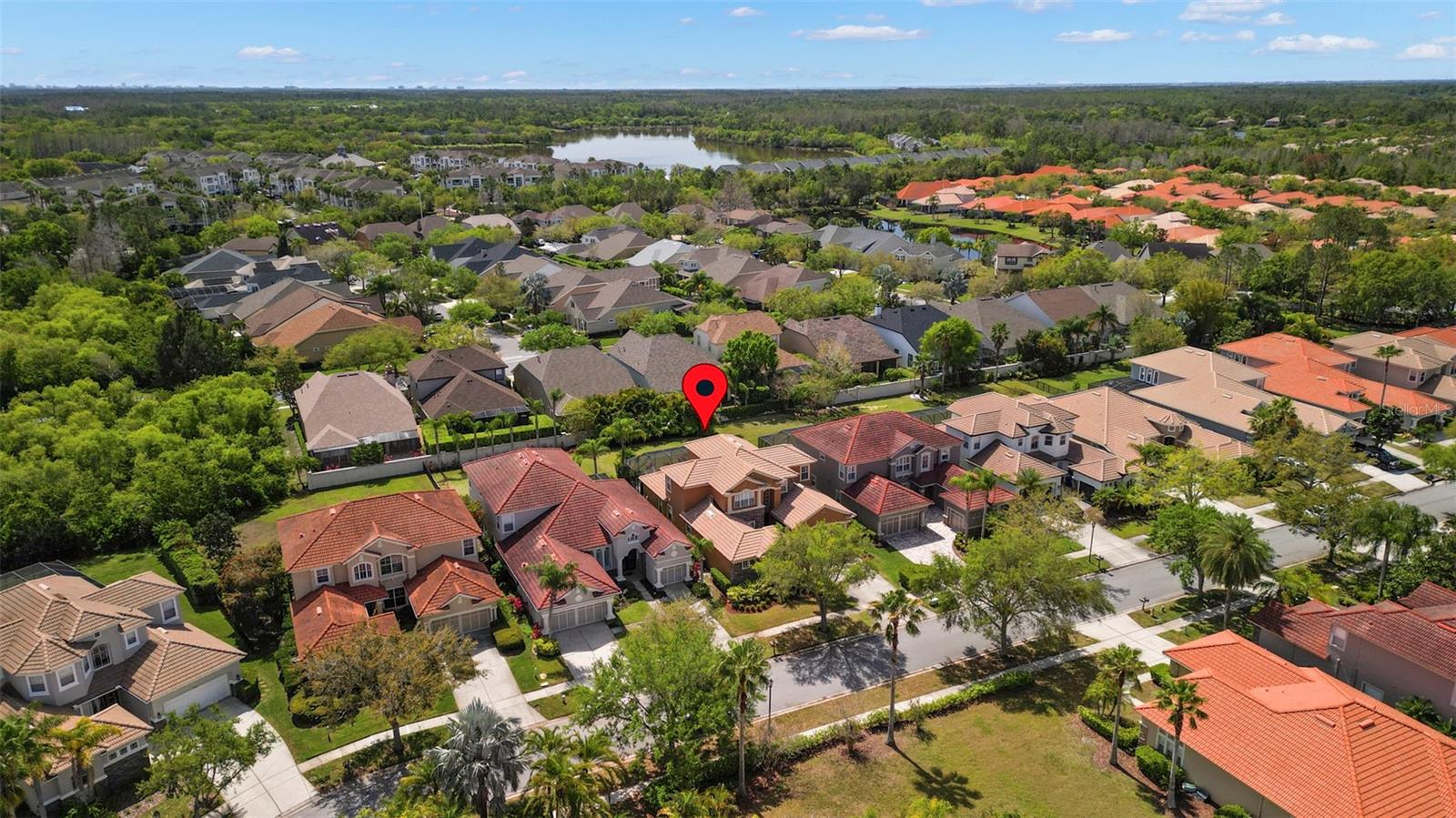 11610 BRISTOL CHASE DR, TAMPA, FL, 33626