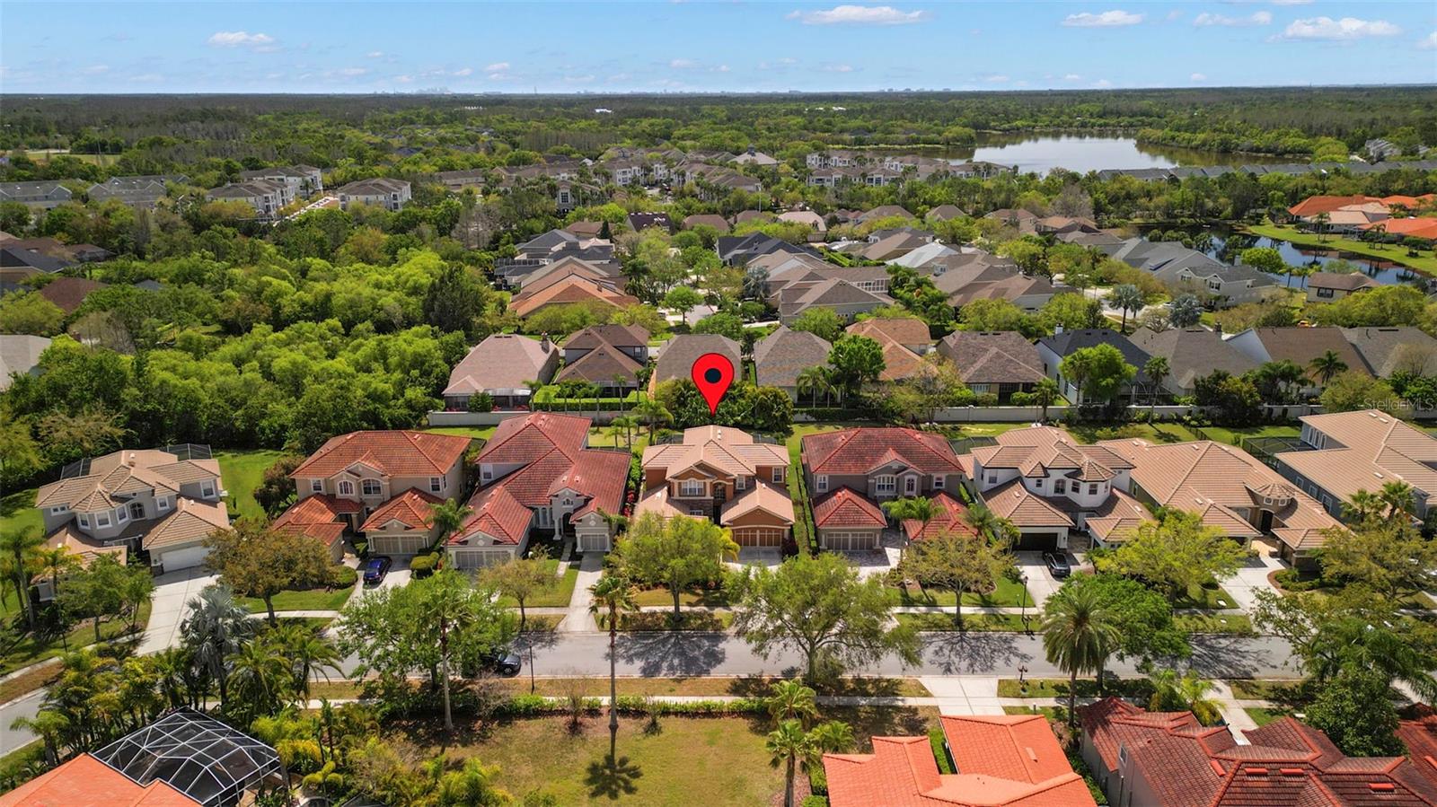 11610 BRISTOL CHASE DR, TAMPA, FL, 33626
