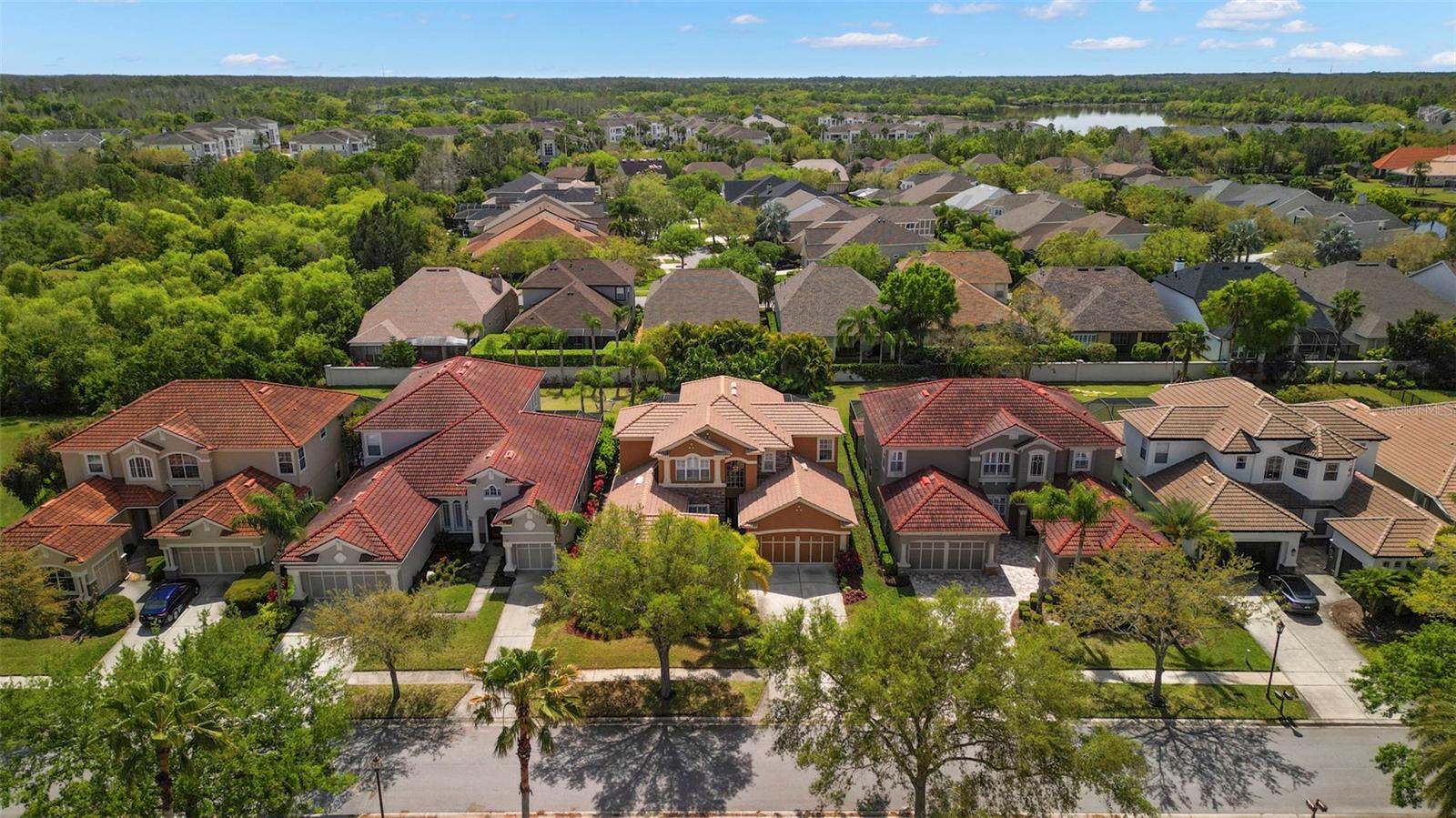 11610 BRISTOL CHASE DR, TAMPA, FL, 33626