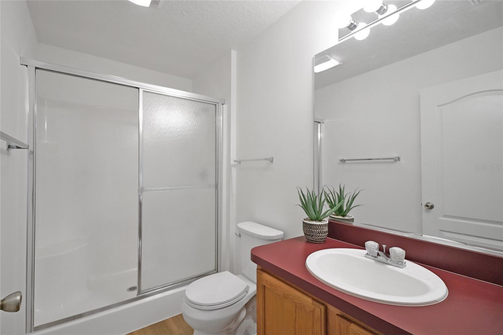 2433 TAMARINDO DR, THE VILLAGES, FL, 32162