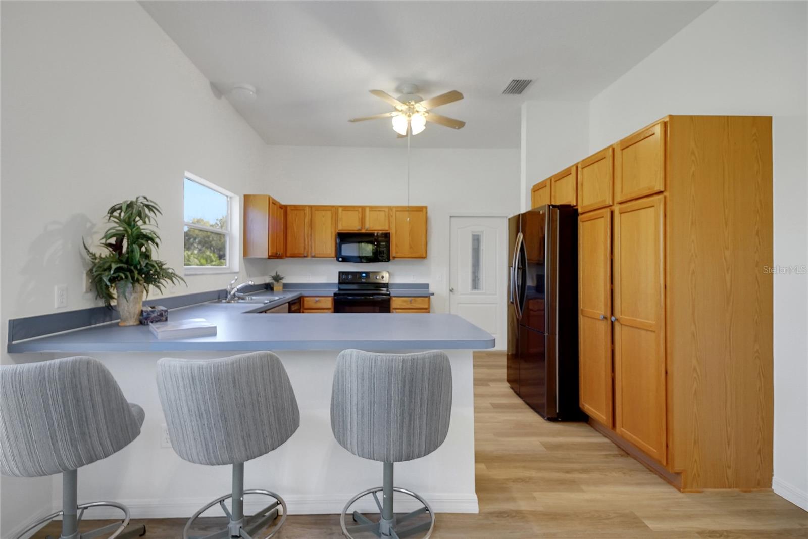 2433 TAMARINDO DR, THE VILLAGES, FL, 32162