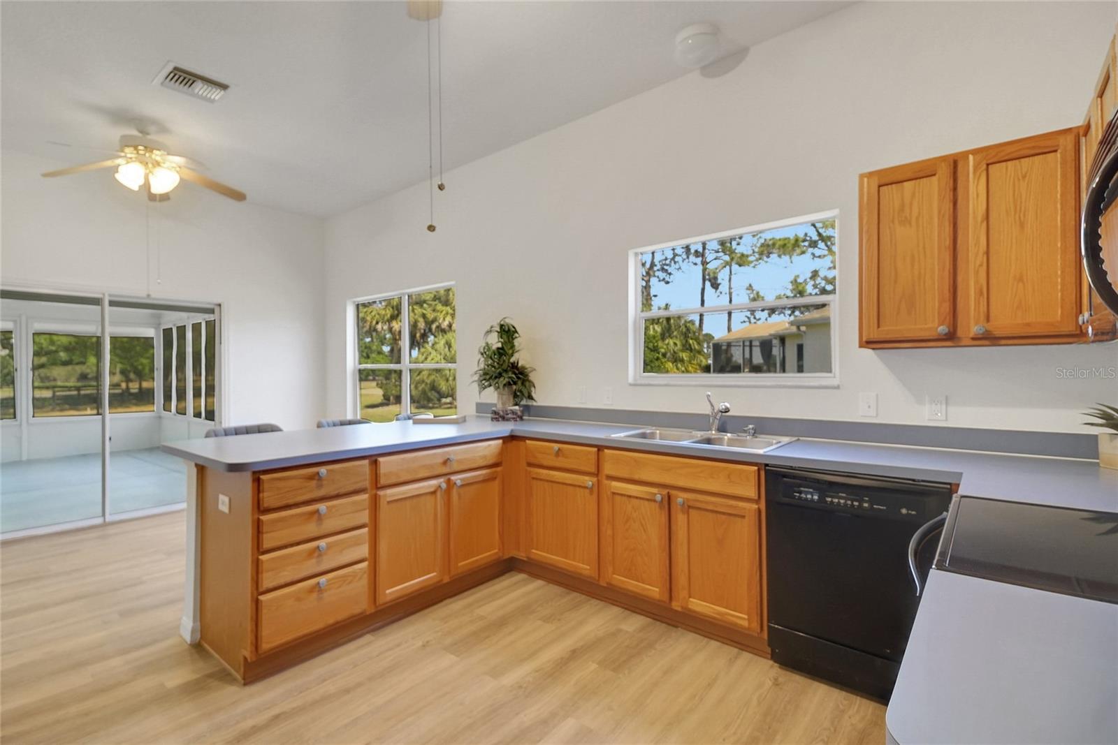 2433 TAMARINDO DR, THE VILLAGES, FL, 32162