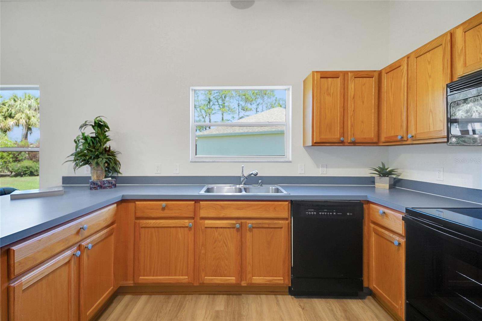 2433 TAMARINDO DR, THE VILLAGES, FL, 32162