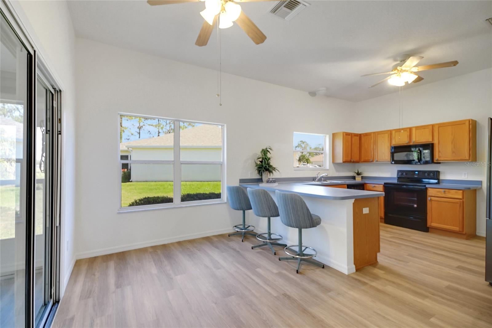 2433 TAMARINDO DR, THE VILLAGES, FL, 32162
