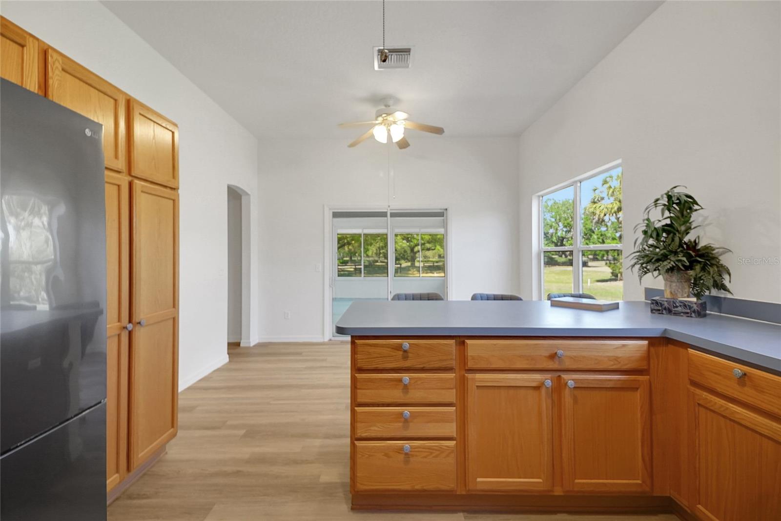 2433 TAMARINDO DR, THE VILLAGES, FL, 32162