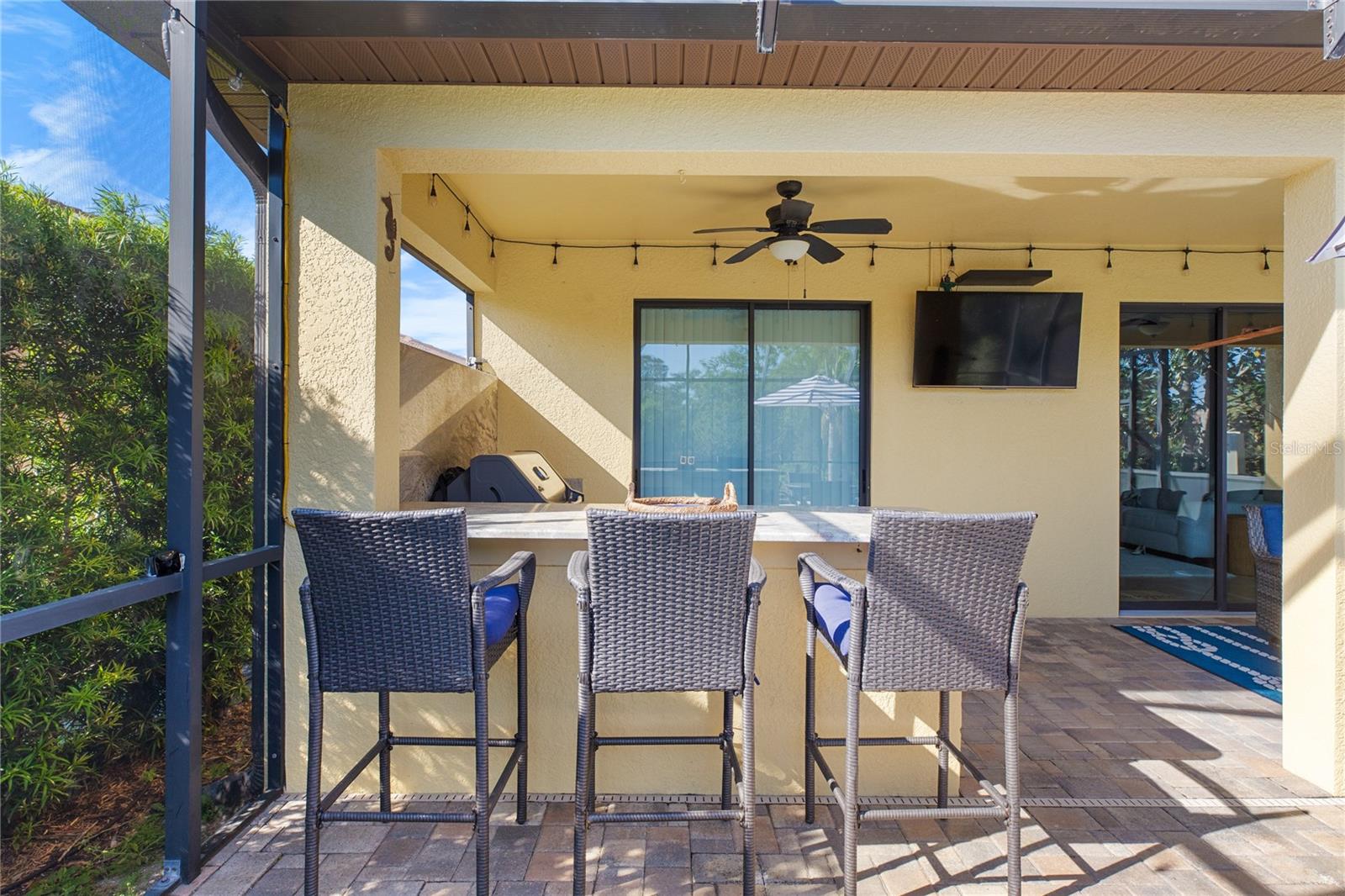 342 CEDAR FALLS DR, APOLLO BEACH, FL, 33572