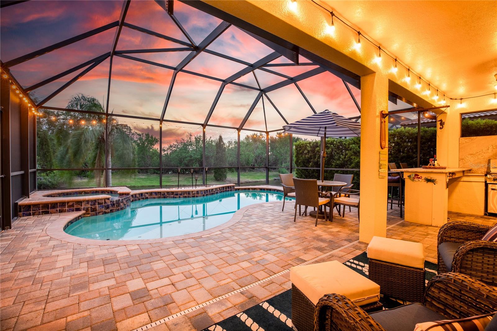 342 CEDAR FALLS DR, APOLLO BEACH, FL, 33572