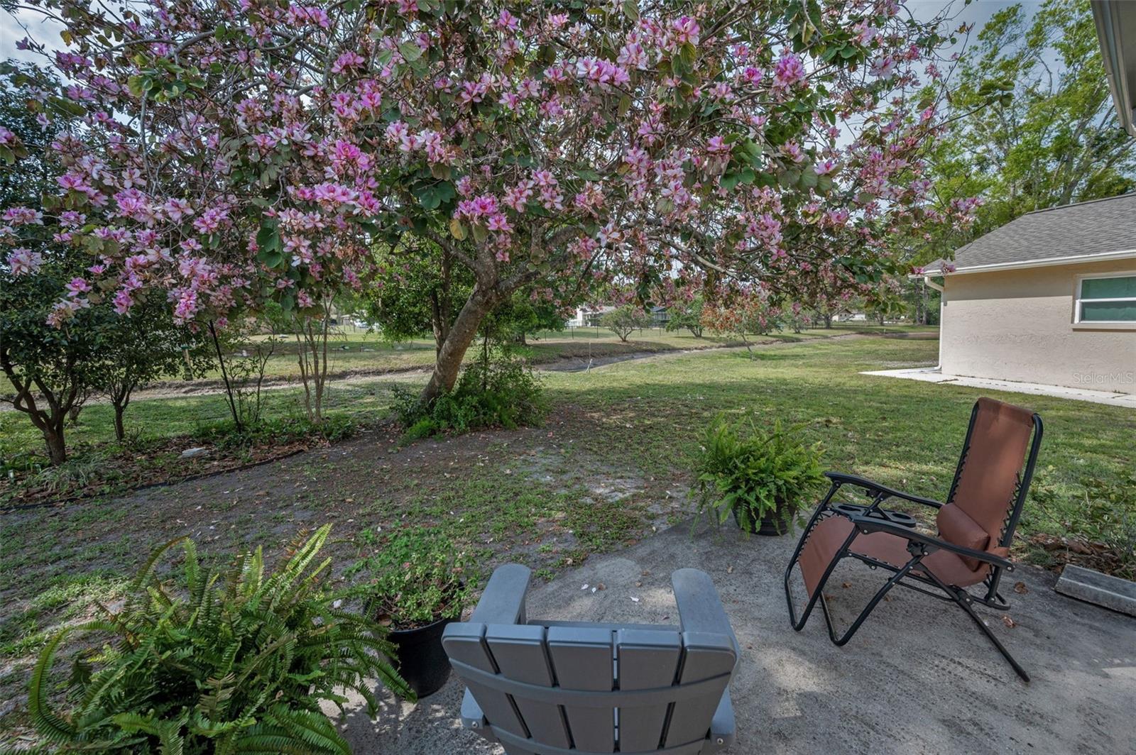 9336 CAPE CHARLES AVE, NEW PORT RICHEY, FL, 34655
