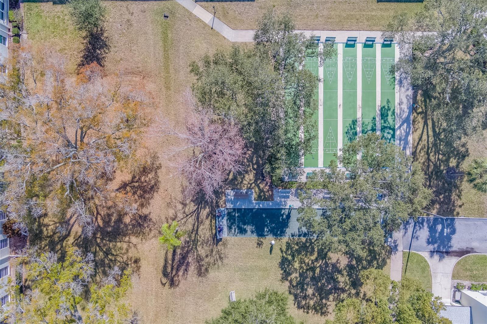 2700 BAYSHORE BLVD #1E, DUNEDIN, FL, 34698