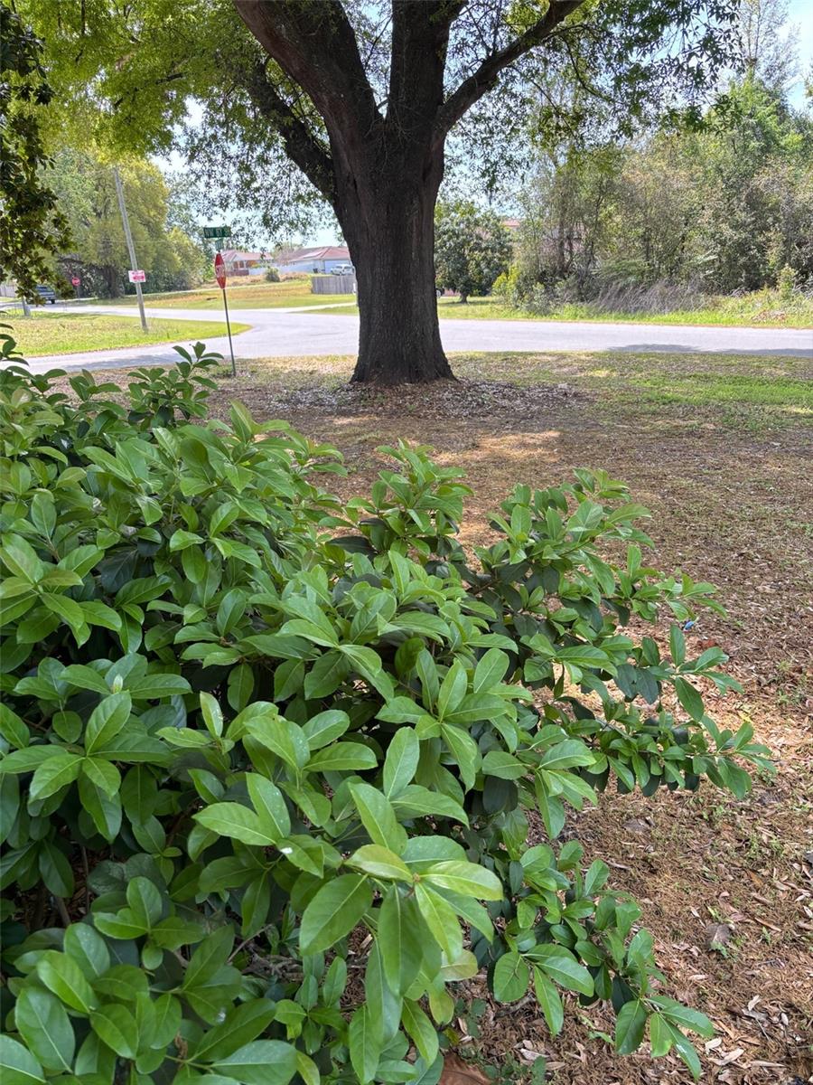 6725 NW 14TH AVE, OCALA, FL, 34475