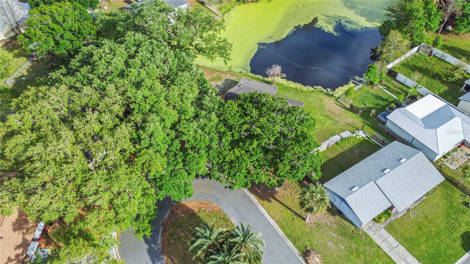 1248 HONEYTREE LN W, LAKELAND, FL, 33801